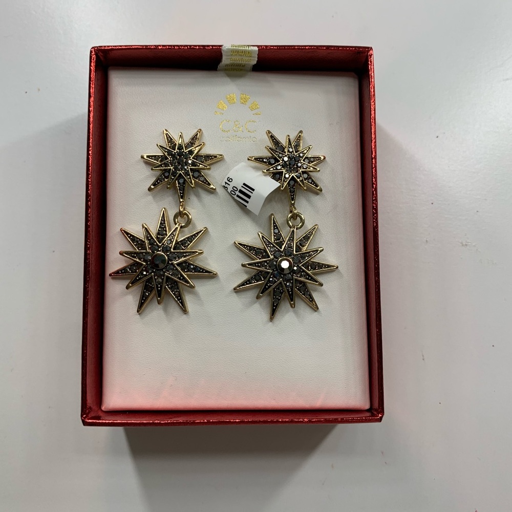 Star Earrings